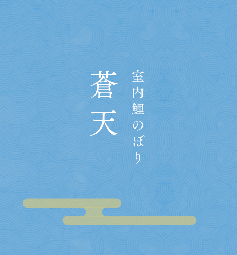 室内鯉のぼり 蒼天